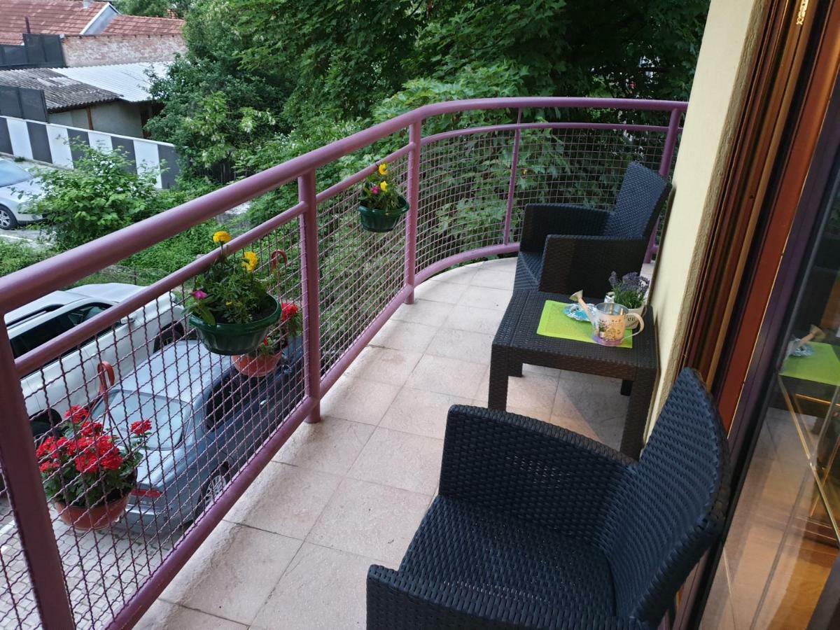 Lux Apartman Čačak エクステリア 写真