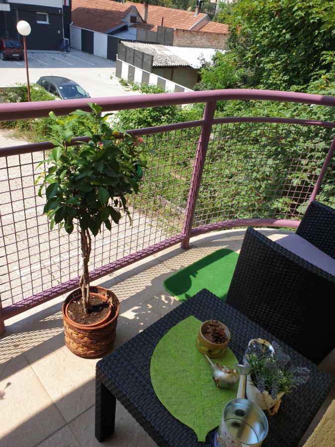 Lux Apartman Čačak エクステリア 写真
